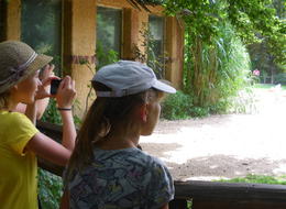 ZOO nemohla být samozřejmě vynechána